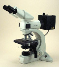 LBU10 — Leica DMLS Biological Brightfield Microscope for Epi-Fluorescense