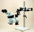 LCS01 — Leica MZ6 Zoom Stereomicroscope on Twin-Arm Boom Stand