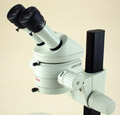 LCS11 — Leica MS5 Stereoscope