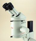LCS12 — Leica MZ7.5 Stereoscope