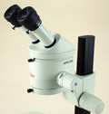 LCS13 — Leica MZ6 Stereoscope