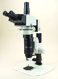 LSS02 — Leica Fluorescence Macroscope