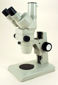 NCS17 — Nikon SMZ 2T Stereomicroscope on Plain Stand