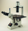 OBI03 — Olympus CK2 Inverted Microscope