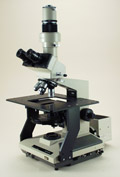 OBS01 — Olympus BHWI Microscope