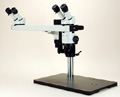 WCS31 — Wild M3Z Zoom Stereomicroscope with Oblique Tilt for Two Observers