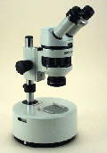 WCS36 — Wild M5A APO Stereomicroscope for Transmitted Light