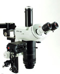 WMS08 — Wild M420 with Apozoom on Heavy Twin-Arm Ball Bearing Boom Stand