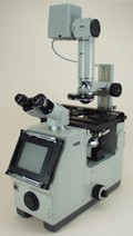 ZBI02 — Zeiss ICM 405 for Nomarski DIC